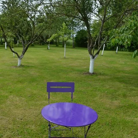 Bed & Breakfast Au Passage Des Grues Drosnay